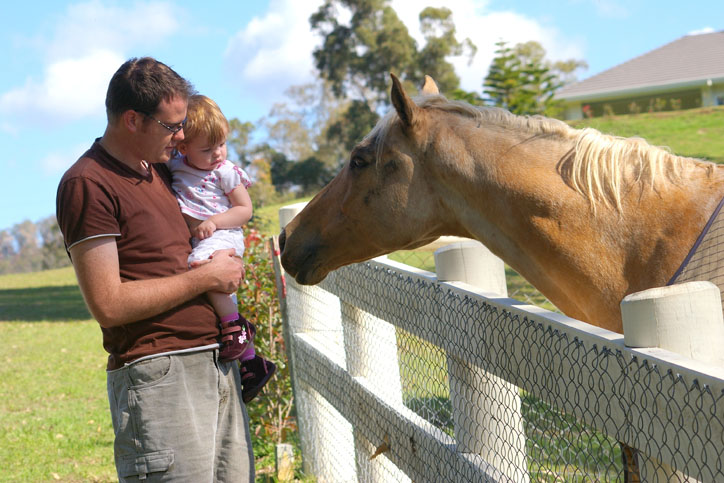 Father & child greeting a horse at the fence